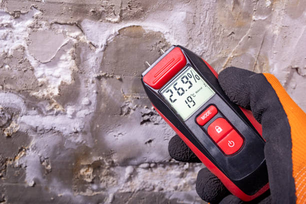 Best Attic Mold Remediation in Urbandale, IA