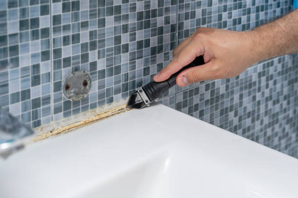 Professional Mold Remediation in Urbandale, IA